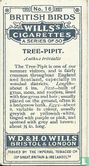 Tree-Pipit - Image 2