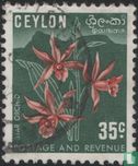 Orchids (type I) - Image 1