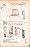 Katalog der Instrumenten-Fabrik für Tiermedizin H. Hauptner  - Afbeelding 3