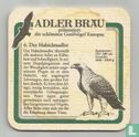 Adler Bräu 6. Der Habichtsadler - Bild 1