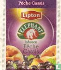 Pêche Cassis
