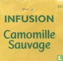 Camomille Sauvage