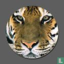 Sibirischer Tiger - Bild 1