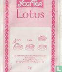 Lotus - Image 2