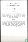 Potto - Image 2