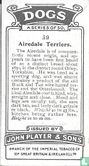 Airedale Terriers - Afbeelding 2