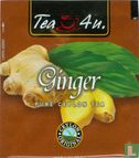 Ginger - Image 1
