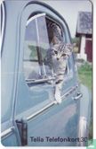 Cat hanging out car - Image 1