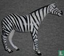 Zebra - Bild 2