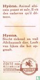 Hyène - Image 2