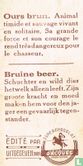 Ours brun - Image 2