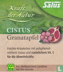Cistus Granatapfel  - Bild 1
