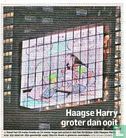 Bescheiden man achter brutale Haagse Harry - Bild 1
