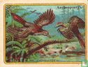 Archeopteryx - Bild 1
