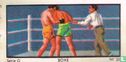 Kidney-punch - Image 1