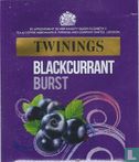 Blackcurrant Burst - Bild 1