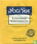 Echinacea Special Formula Tea [tm]   - Image 1