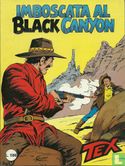 Imboscata al Black Canyon - Afbeelding 1