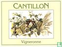 Cantillon Vigneronne - Afbeelding 1