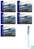 Whales - Image 2