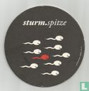Sturm.spitze - Image 1