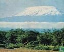De Kilimandjaro. - Afbeelding 1