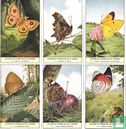 112 - Letters en cijfers bij de vlinders - Image 1
