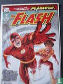 the flash - Afbeelding 1