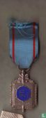 Medaille de reconnaissance FNI Invalides de guerre 1914-1918 - Bild 1