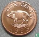 Bermuda 1 Cent 1993 - Bild 1