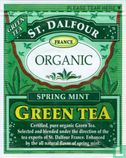 Spring Mint