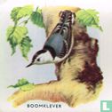 Boomklever - Image 1