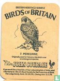 Birds of Britain 7. Peregrine / Strong Pale Ale  - Bild 1