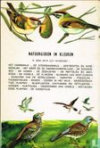 Natuurgids voor het observeren van vogels - Afbeelding 2