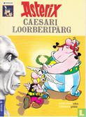 Asterix Caesari Loorberiparg - Afbeelding 1