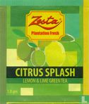 Citrus Splash  - Image 1