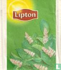 Örtte: Mint - Image 1