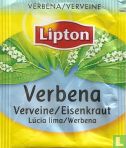 Verbena