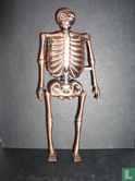 Skelet Geraamte - Image 1