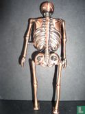 Skelet Geraamte - Image 2