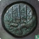 Syracuse, Sicily, AE19, 274-216 BC, Hieron II - Image 2