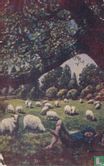 USA - Sheep herder boy with lambs and sheep Stamped 1910 - Bild 1
