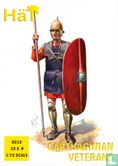 Carthaagse infanterie veteranen - Afbeelding 1