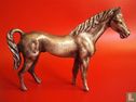 Paard