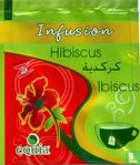 Hibiscus - Bild 1