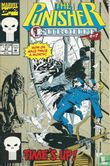 The Punisher 67 - Afbeelding 1