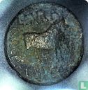 Empire romain 27 BC - AD 14, AE, comme, août, Tarraconaise, Hispania - Image 2