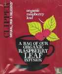 organic raspberry leaf - Bild 1