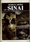sharm el sheikh and Sinai - Bild 1