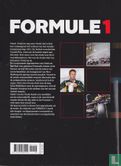Formule 1 jaaroverzicht 2013 - Image 2